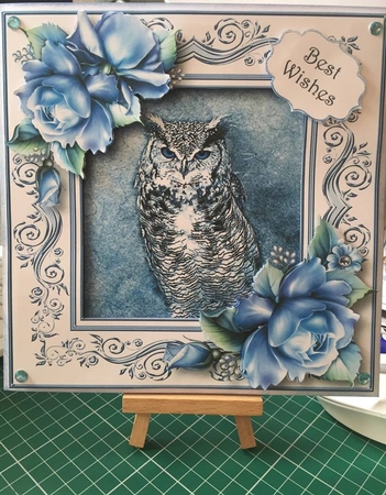 The Winter Owl by Tracey Drage-Baillie