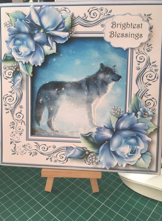 The Winter Wolf by Tracey Drage-Baillie