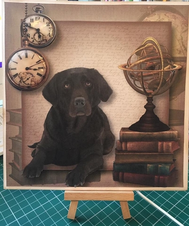 Male Themed Dogs - Chocolate Labrador by Tracey Drage-Baillie