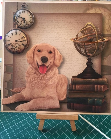 Male Themed Dogs - Golden Retriever by Tracey Drage-Baillie
