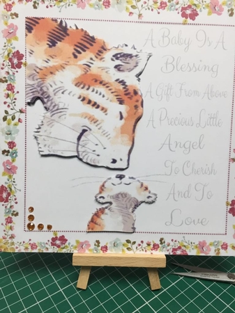 A Baby Is A Blessing Tigers 8x8 by Tracey Drage-Baillie