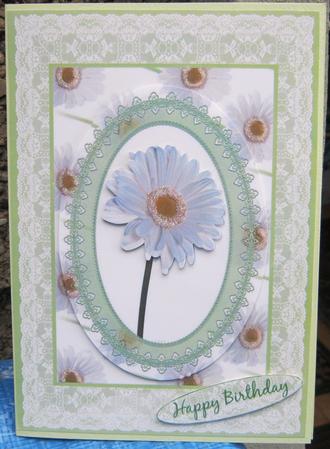 Daisy Dream & Lace by Tracey Drage-Baillie