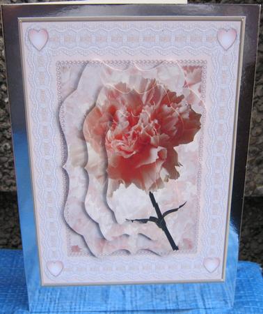 Peach Carnation Flower Quick Card by Tracey Drage-Baillie