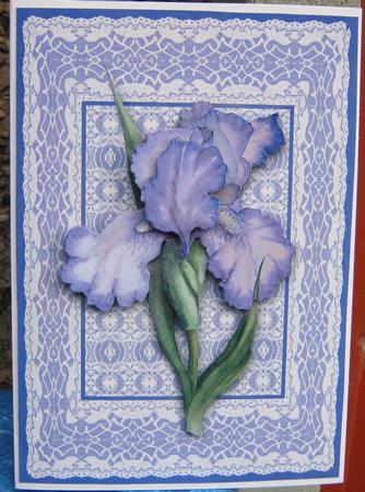 Purple Iris on Lace Card Front by Tracey Drage-Baillie