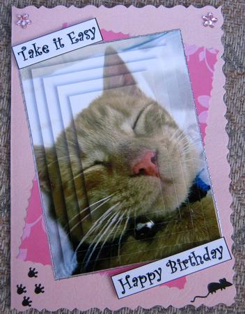Sleeping Ginger Cat by Tracey Drage-Baillie