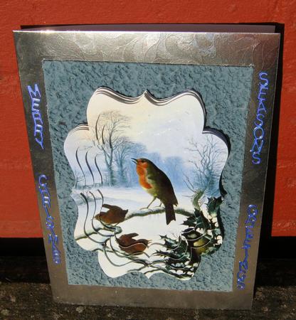 Christmas Robin Fancy Bracket Tunnel Sheet by Tracey Drage-Baillie
