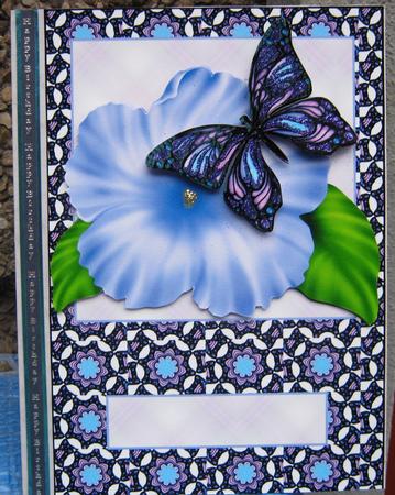 Fantasy Butterfly on Petunia 2 by Tracey Drage-Baillie