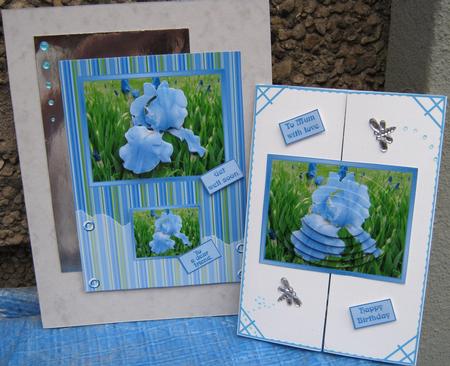 Blue for You. by Tracey Drage-Baillie