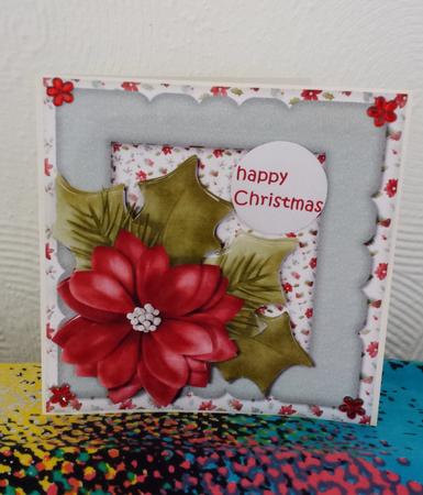 Christmas Poinsettias by Tracy Despard