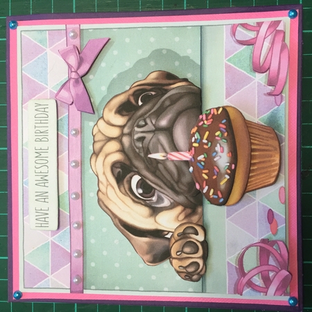 Make a Wish Featured Gallery Photo