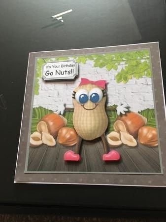 Its Your Birthday....go nuts!! by Tracy Morley