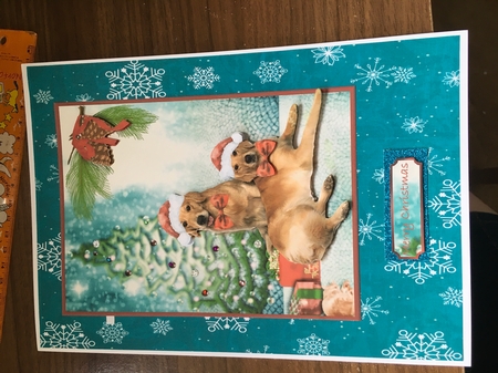Christmas Twins 2 by Tracy Morley