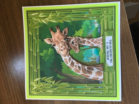 Safari Animals (Card One) by Tracy Morley
