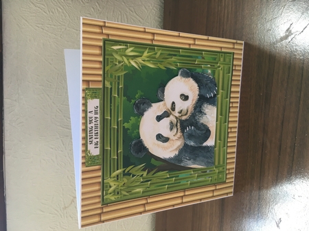 Safari Animals (Card Six) by Tracy Morley