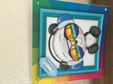 The Rainbow Animal Collection Panda 6x6  by Tracy Morley