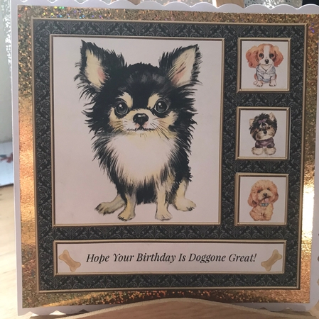Hope Your Birthday Is Doggone Great (Card Five) by Tracy Morley
