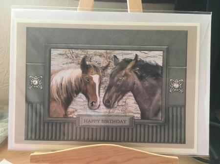 Horses - Birthday or Fathers Day by Tracy Morley