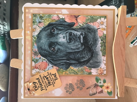 Peach floral Labrador card front 3 by Tracy Morley