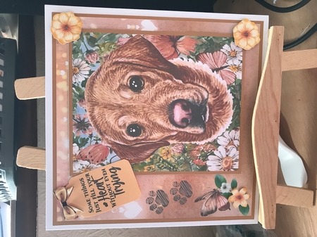 Peach floral Labrador card front 7 by Tracy Morley