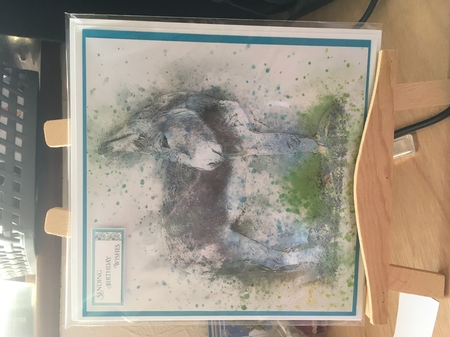 One Sheet Wonders - Water Colour Magic - Donkey - Easy Cut - 3D Decoupage by Tracy Morley