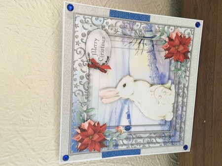 White Rabbit by Tracy Morley