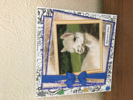 GENERIC MULTI SENTIMENTS ALPACA by Tracy Morley