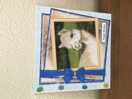 GENERIC MULTI SENTIMENTS ALPACA by Tracy Morley