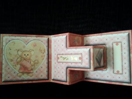Sew Special T-step Tri Fold by Tracy Wood