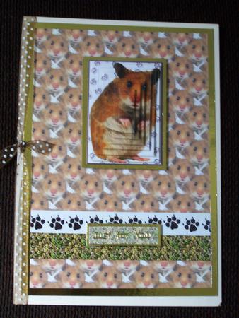 Hamster Pyramid with Background by Trudy Keyte