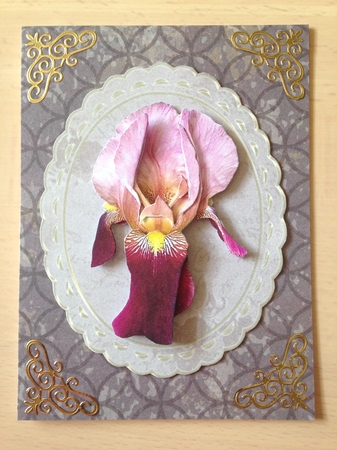 5 Pcs. 8.6 x 11 cm Mini Backgrounds for 3D Images Etc. by Ulla Skraedderdal