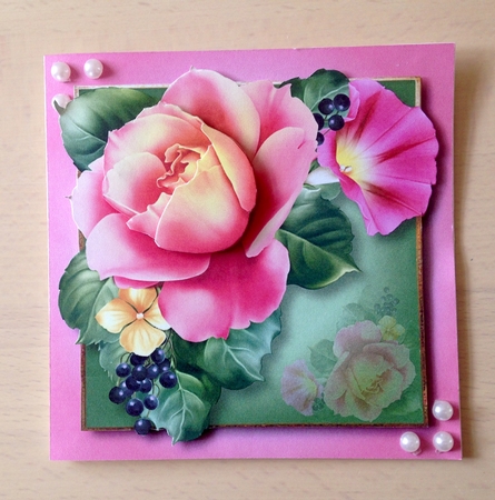 Beautiful Summer Rose by Ulla Skraedderdal