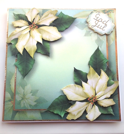 Ivory Poinsettias For Christmas by Ulla Skraedderdal