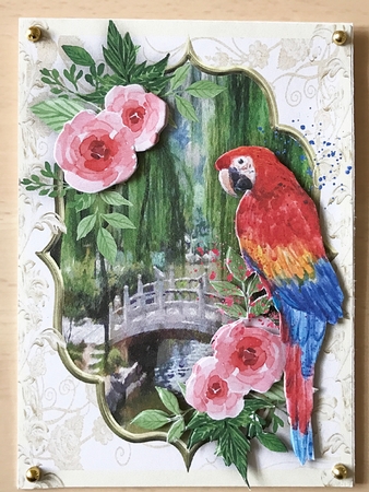 Beautiful Parrot and Scene by Ulla Skraedderdal