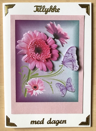 pink gerbera by Ulla Skraedderdal