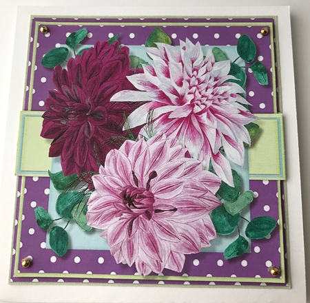 Stunning Chrysanthemums on a polka Mat  by Ulla Skraedderdal