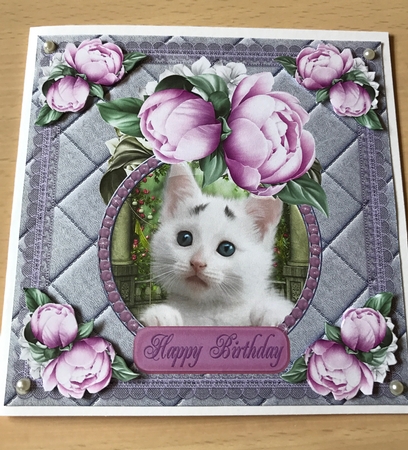 Cute Kitty Card Front by Ulla Skraedderdal