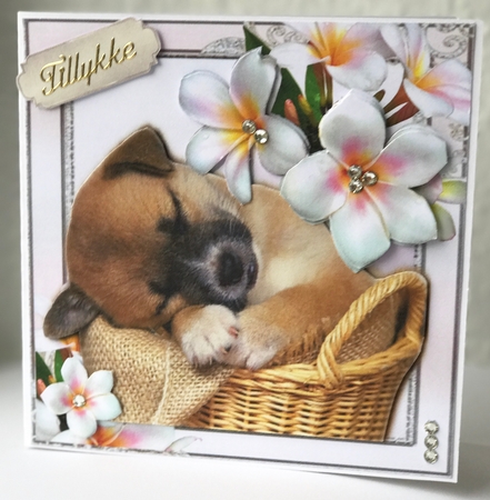 Sleeping Puppy In A Basket 8x8 Mini Kit by Ulla Skraedderdal