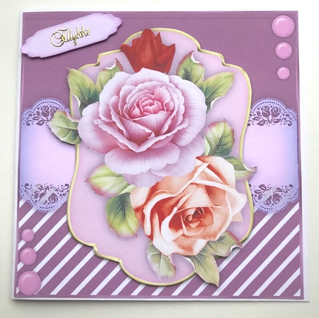 Beautiful Fragrant  Roses  Featured Gallery Photo