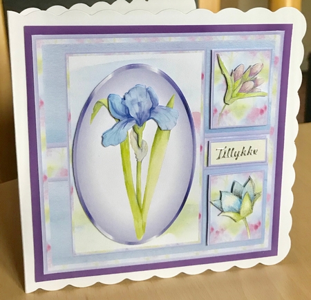 Spring Iris by Ulla Skraedderdal
