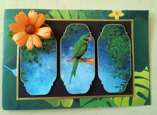 Beautiful Parrot Card Topper by Ulla Skraedderdal