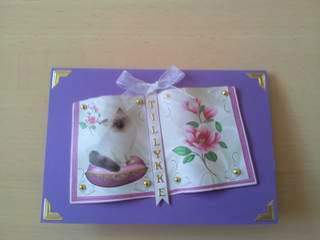 Cute Kitty on a Cushion , & Flowers Open Book A4 by Ulla Skraedderdal