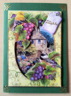 Birds & Grapes at the Dovecote + Extra Frame by Ulla Skraedderdal