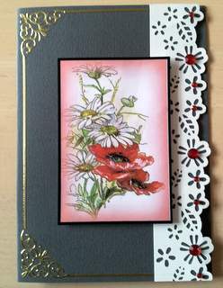Cameo Toppers by Ulla Skraedderdal