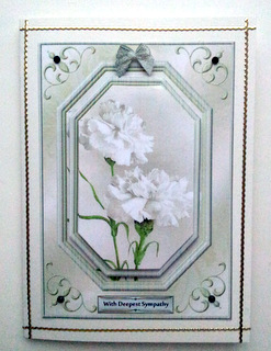 Sympathy Carnations by Ulla Skraedderdal