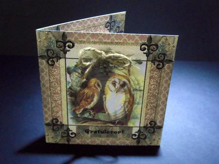 A Sweet owl couple by Ulla Skraedderdal