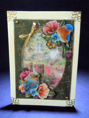 Beautiful Bluebirds at the Rose Cottage by Ulla Skraedderdal