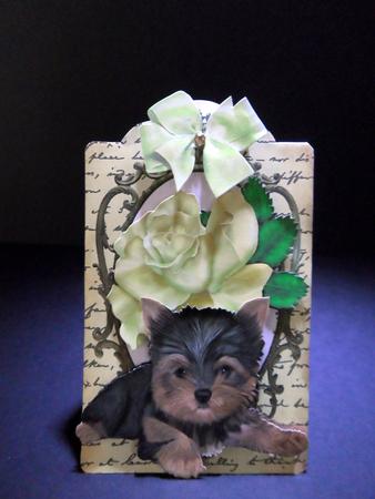 Cute Little Yorkie with Cream Rose on Vintage Tag by Ulla Skraedderdal
