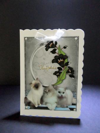 Fluffy Kittens with Pretty Black Flowers A4 by Ulla Skraedderdal