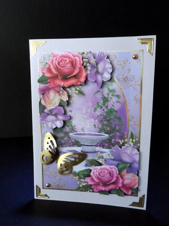 Beautiful Belle Roses Garden by Ulla Skraedderdal
