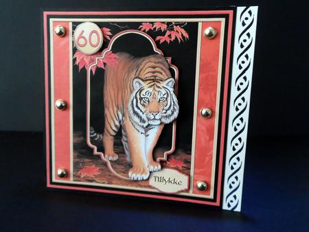 Tiger 8x8 Mini Kit & Decoupage by Ulla Skraedderdal